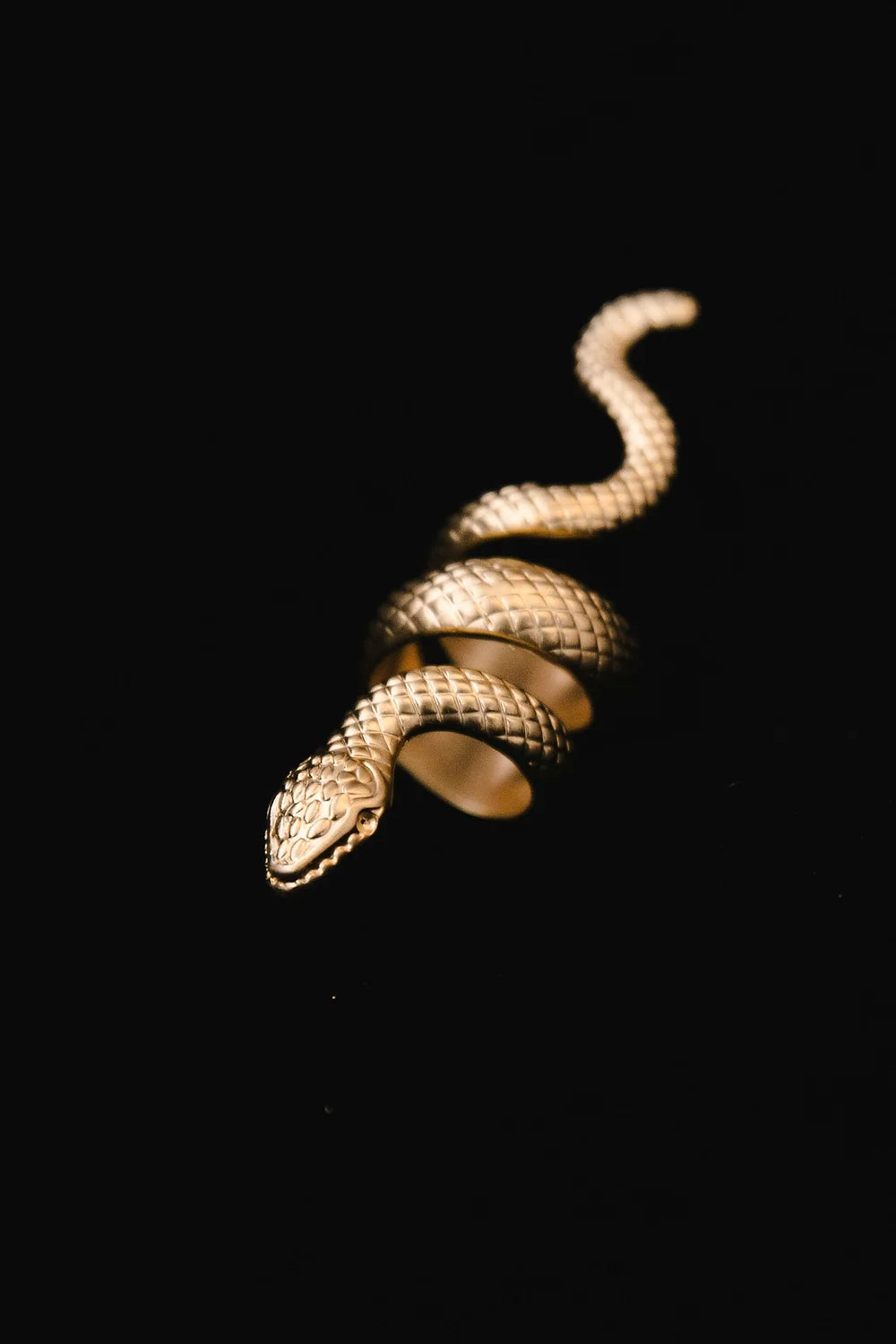 ROYAL SNAKE RING | טבעת אסקלפיוס הנחש המרפא